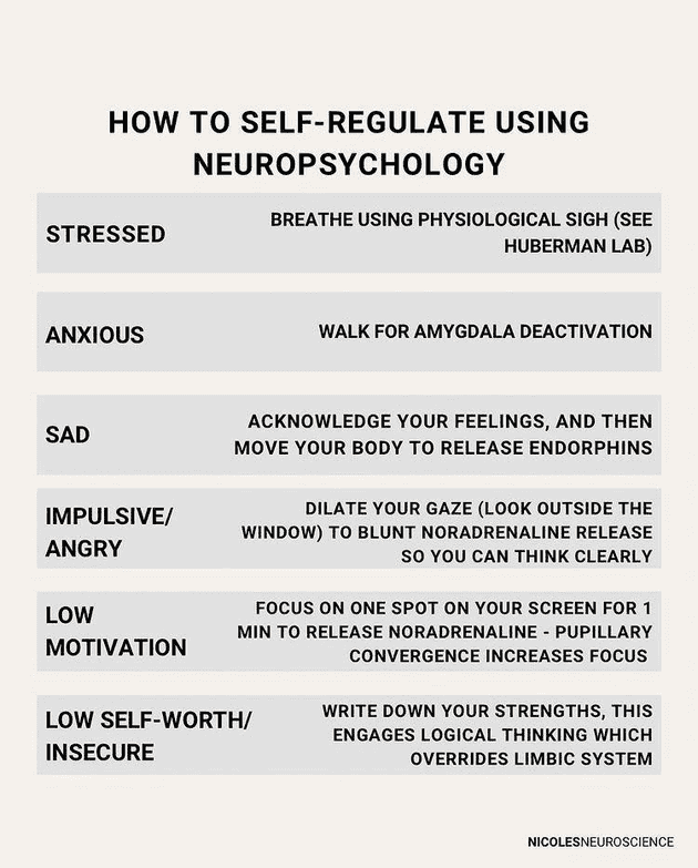 self regulate using neuro-psychology